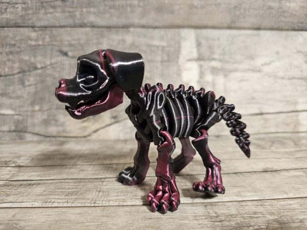 Dog Skeleton - Image 4