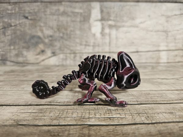 Chameleon Skeleton - Image 4