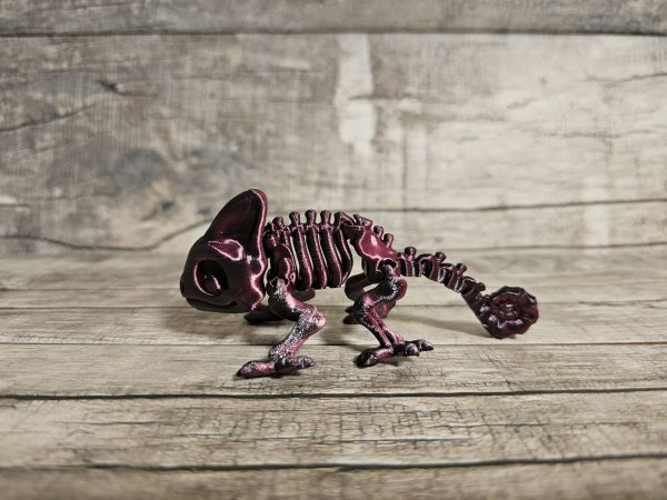 Chameleon Skeleton - Image 2