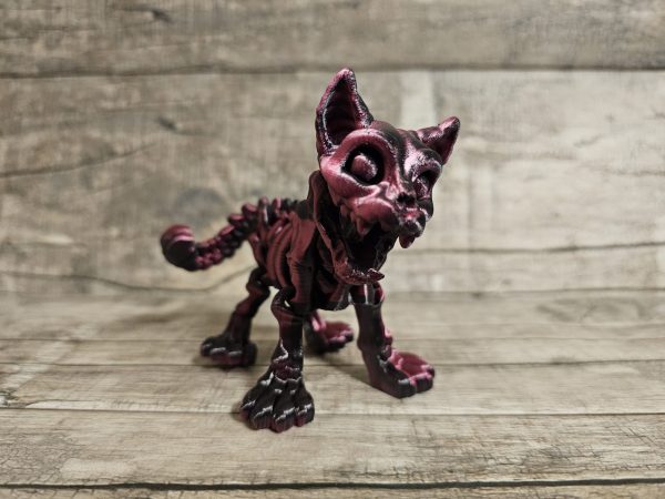 Cat Skeleton