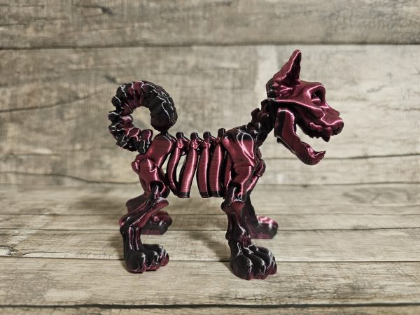 Cat Skeleton - Image 4