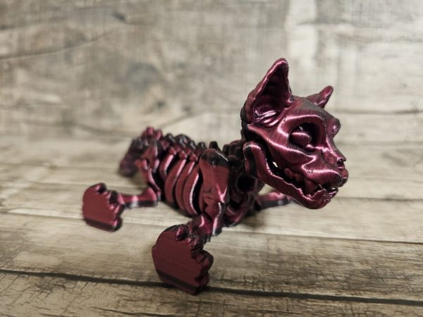 Cat Skeleton - Image 4