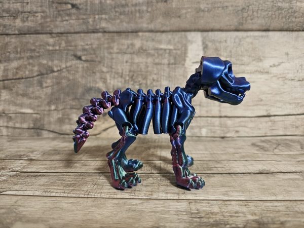 Dog Skeleton - Image 9