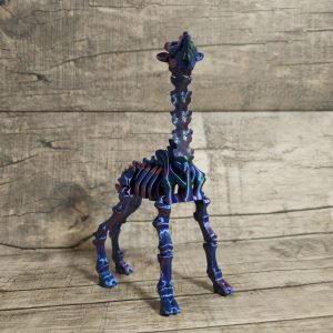 Giraffe Skeleton