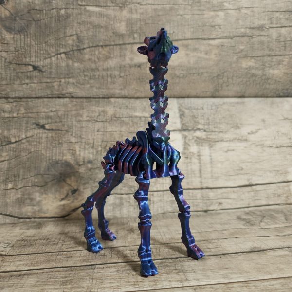 Giraffe Skeleton