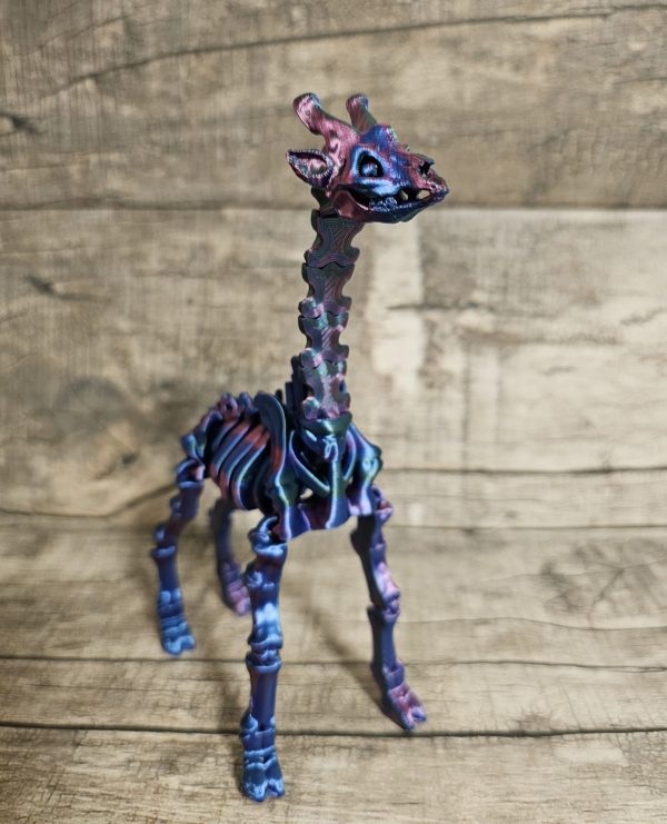 Giraffe Skeleton - Image 4
