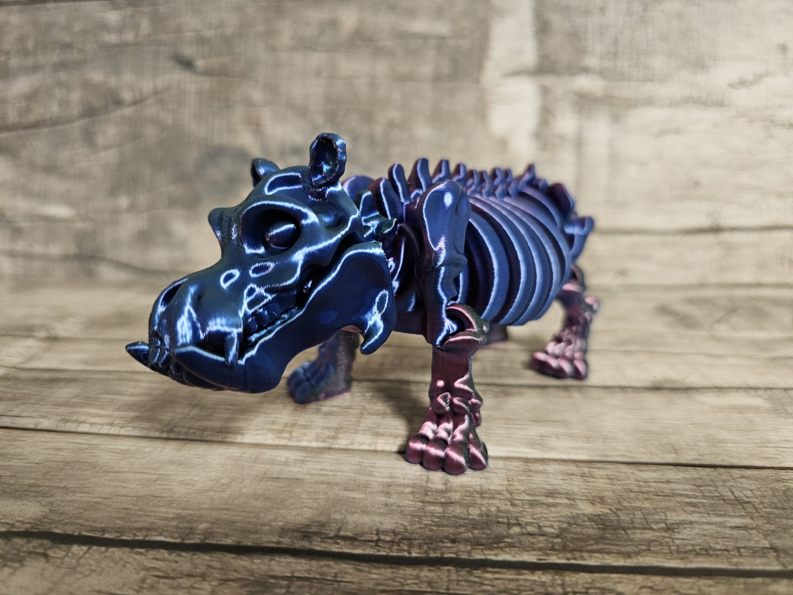 Hippo Skeleton