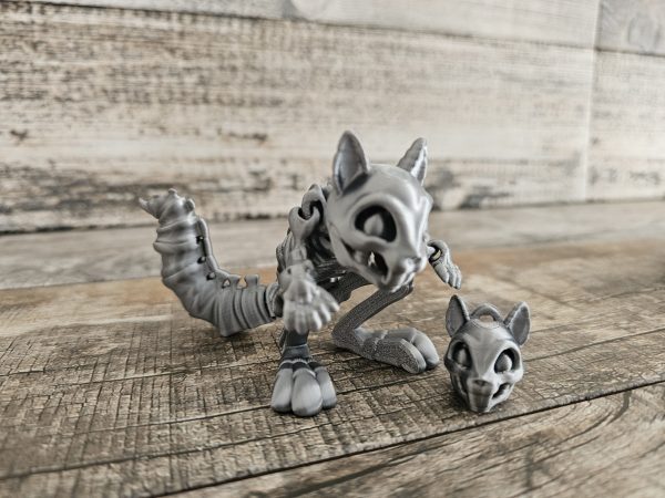 Squirrel Skeleton - Image 5