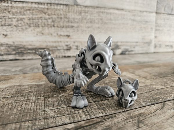 Squirrel Skeleton - Image 5