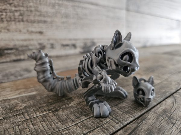 Squirrel Skeleton - Image 6
