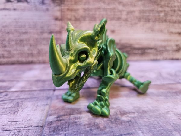 Rhino Skeleton - Image 4