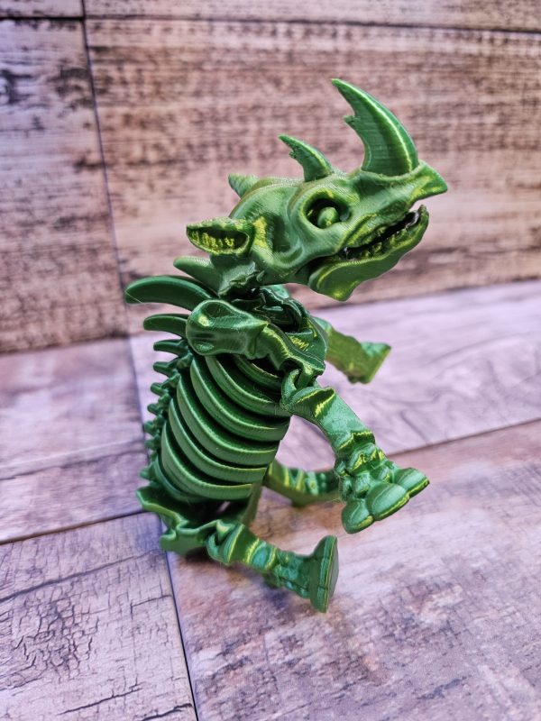 Rhino Skeleton - Image 6