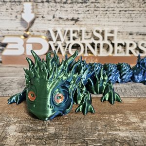 Baby Forest Dragon 🐉 (Multi Colour)