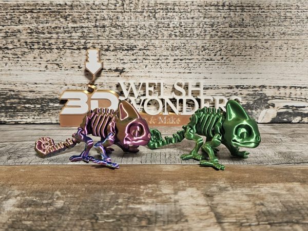 Chameleon Skeleton - Image 5