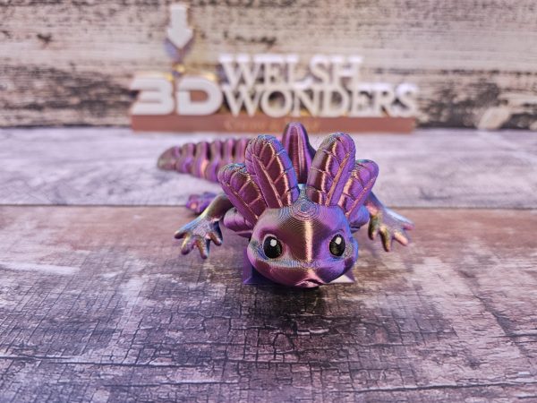 Axolotl - Image 13