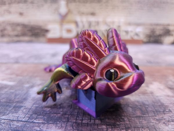 Axolotl - Image 5