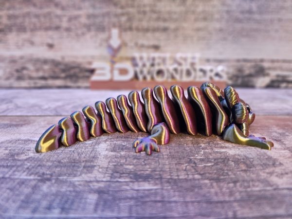 Axolotl - Image 15
