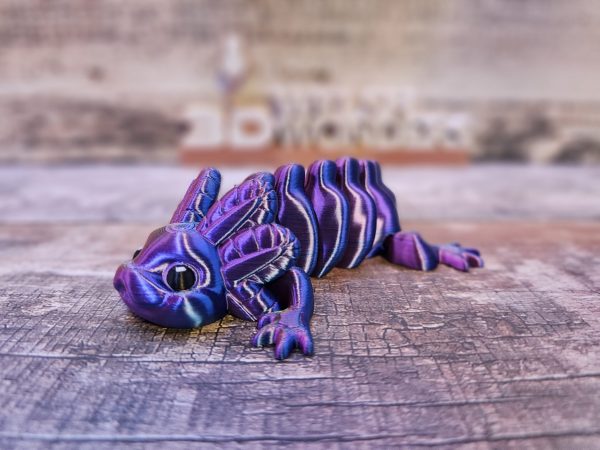 Axolotl - Image 6