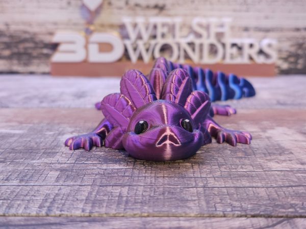 Axolotl - Image 3