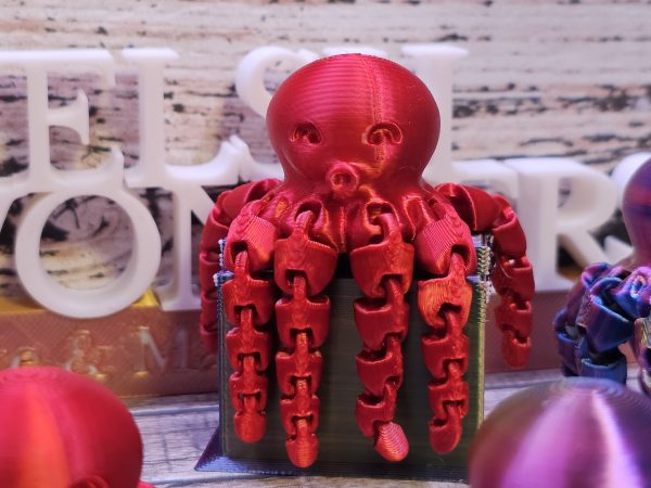 Mini Octopus - Image 4